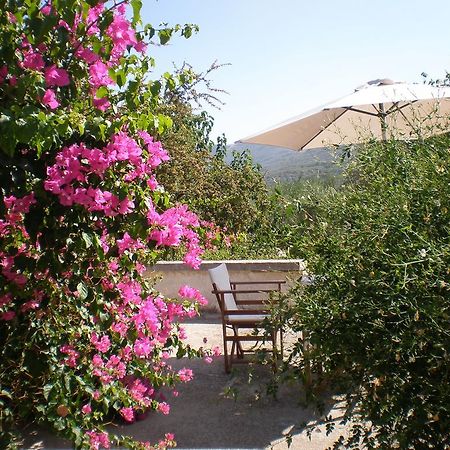 Villa Ouranos Kíssamos Екстериор снимка