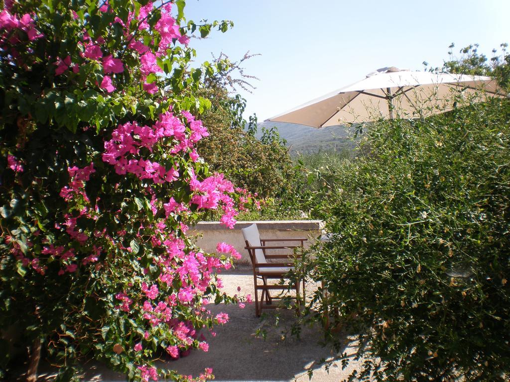 Villa Ouranos Kíssamos Екстериор снимка